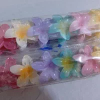 تمامی پلومریا ها ۶ سانتی فقط و فقط 30 هزار تومان|زیورآلات و اکسسوری|فیروزکوه, |دیوار