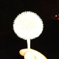 کارت سوخت پیدا شده