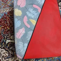 بالشت جلد بالشت