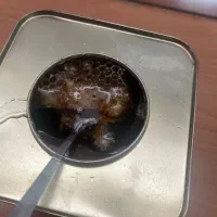 مقداری عسل محلی و اصلی|خوردنی و آشامیدنی|اصفهان, کوی امیریه|دیوار