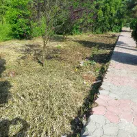 زمین تمام مسکونی با سند تک برگ .از املاک ابوالفضل|فروش زمین و ملک کلنگی|لاهیجان, کوی خزر|دیوار