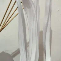 چوبک روبانی