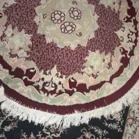 یک عددپادری|پادری|سنندج, |دیوار