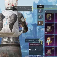 اکانت پابجی خوش شانس|کنسول، بازی ویدئویی و آنلاین|مشهد, شاهد (شهرک غرب)|دیوار