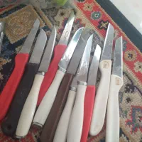 چاقوی میوه خوری یک دست