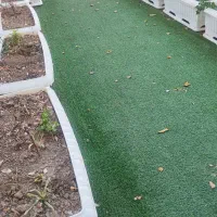 ۱۹ عدد گلدان پلاستیکی سفید و ۴۸ متر چمن سبز|گل و گیاه طبیعی|فردیس, نسترن شرقی|دیوار