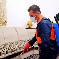 سم پاشی حشرات سوسک ساس کنه موریانه موش سمپاشی مگس