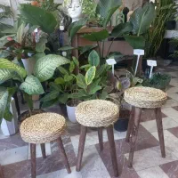 به دلیل جمع آوری مغازه به قیمت فاکتور..