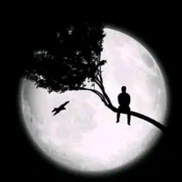 داوطلبانه