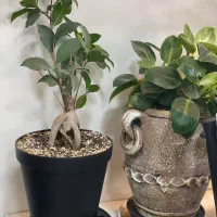 مهرشهر فاز ۵