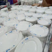 ۱۸ تیکه گل آبی