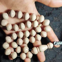 تسبیح سندلوس 33 تراش استانبولی|جواهرات|اهواز, کوروش|دیوار