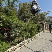 اجاره ویلا چهارباغ کردان|اجارهٔ کوتاهمدت ویلا و باغ|کرج, فاز ۱ مهرشهر|دیوار