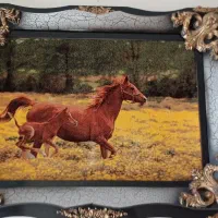 تابلو|تابلو، نقاشی، عکس|اسدآباد, |دیوار