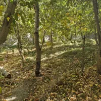 زمین ۴۰۰ متری بلوار مهتاب