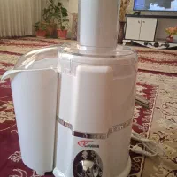 آمیوه گیری ویکنز