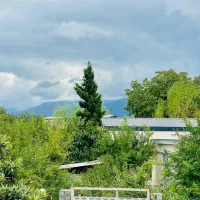 قرچک-پوئینک-سرسبز-7-سوله