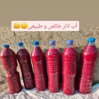 انواع مدل محصــول