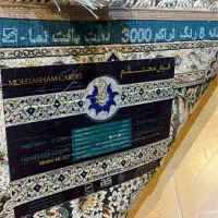 فرش ۱۲ متری|فرش|بندر انزلی, معلم|دیوار