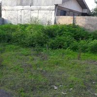 تهاتر/ معاوضه 600متر زمین بازمین کشاورزی ودامداری|فروش زمین و ملک کلنگی|شفت, |دیوار