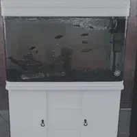 آکواریوم با کلیه لوازم