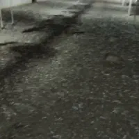 کودمرغی ‌ئه‌کرم له مرغداری