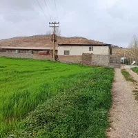 مرغداری|اجارهٔ دفتر صنعتی، کشاورزی، تجاری|چگنی, |دیوار