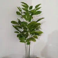 درختچه|گل مصنوعی|خرمآباد, |دیوار