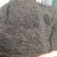 کلاه روسی خزدار|لباس|پیشوا, |دیوار