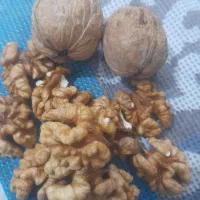 گردوتازه امساله|خوردنی و آشامیدنی|اسفرورین, |دیوار