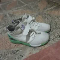 zxفولوکس ساق دار کفه کاهویی|کیف، کفش، کمربند|بهارستان, |دیوار