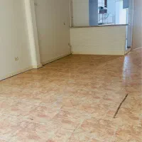 ۴۰متر/نقل و نبات/کارون