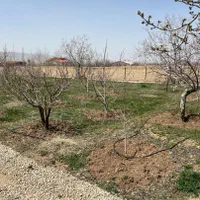 ۲۰۰متر باغ کنتوربرق+آب داخل ملک دماوند جابان شهرکی|فروش زمین و ملک کلنگی|دماوند, دماوند|دیوار