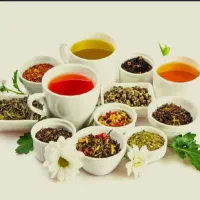 یادگیری رایگان خواص گیاهان ودمنوشها|خدمات آموزشی|خمینی‌شهر, |دیوار