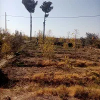 فروش زمین کشاورزی از چاه سنگ نوشته کلاته ملک