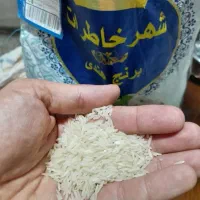 برنج هندی سفید (کشت)