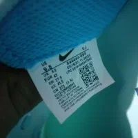 کفش سالنی|کیف، کفش، کمربند|ایوان, |دیوار