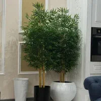 درختچه مصنوعی بامبو|گل مصنوعی|قوچان, |دیوار