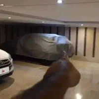 فوری  بی  واسطه|خودرو سواری و وانت|تهران, تهران‌ویلا|دیوار