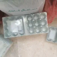 ظرف شفاف تخم مرغ|ظروف نگهدارنده، پلاستیکی، یک‌بارمصرف|محمدیه-قزوین, |دیوار