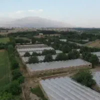 فروش مرغداری مشکین دشت|فروش دفتر صنعتی، کشاورزی، تجاری|مشکین‌دشت, |دیوار
