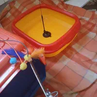 وسایل و اسباب بازی|لوازم جانبی حیوانات|تهران, زرکش|دیوار