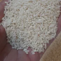 انواع برنج ایرانی و هندی