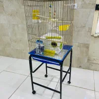 قفس بزرگ پرنده همراه با چهارپایه و وسایل