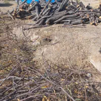 خرید نقدی چوب|خدمات باغبانی و درختکاری|مراغه, |دیوار