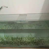 اکواریوم بزرگ