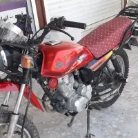 تریل شکاری