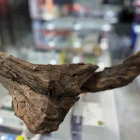 چوب آبنوس|ماهی|تهران, افسریه شمالی|دیوار