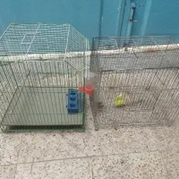 قفس پرنده|لوازم جانبی حیوانات|اهواز, کوی رمضان|دیوار