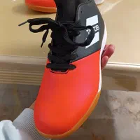 کفش سالنی|کیف، کفش، کمربند|گرگان, |دیوار